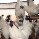 윤씨네농장 이미지