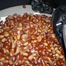 오진농장 이미지