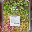 새싹이집밥 이미지