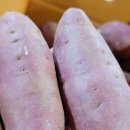 싱싱야채과일 이미지