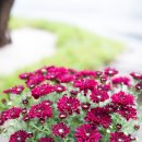 화림가든 이미지