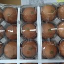 정화농장 이미지