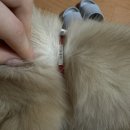 반성역 | 2026.01-5