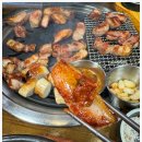 쭈꾸미한판 이미지