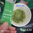 로하스녹즙 | [내돈내산] 칼로하스 그린케일 후기