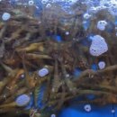 해루질 이천본점 이미지