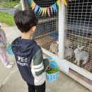 세딸목장 이미지