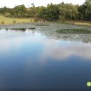 진량농협주유소 이미지