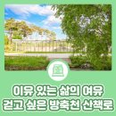 방축천4 도담1교 | 이유 있는 삶의 여유, 걷고 싶은 방축천 산책로🌳
