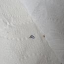 오남호수동물병원 이미지