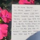 산전댁 이미지