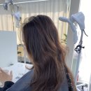 꽁뜨베이커리 | 🌙 밤비브라운으로 고급스러운 변신 샵꽁뜨 홍대합정역점 승아원장 후기