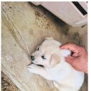 주생면 반송마을 이미지