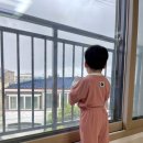 비니즈 | 아기 여름옷 쇼핑 성공🤍 비니즈 Binnies 유아 반팔티, 팬츠, 플리츠 상하복까지 어린이집 등원룩 추천
