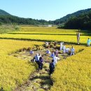 고성농요 기획공연 이미지