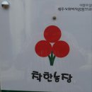 방울양배추 판매합니다~(3월19일부터 마지막 판매글 올릴께요) 이미지