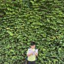 The 청담PC | 초등 영어학원 청담어학원송파 4주차 리얼 후기