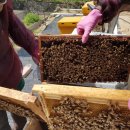 재호농장 이미지