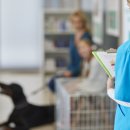 나비동물병원 이미지