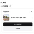 운하 | 네덜란드 운하 추천 직접 타보고 추천하는 후기 네덜란드 운하 예약 러버스