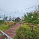 도심공원 이미지