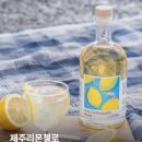 리몬딜