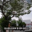 영상으로 나를 표현하자 이미지