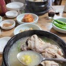 [모란 맛집]숨겨진 현지인 맛집! 대왕삼계탕 &amp; 케이크 카페 쿠잉🧡