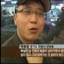 해피보리네 이미지