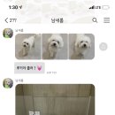 멍테소리 이미지