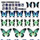 무료 곤충체험전 / 한국과학문화재단 이미지
