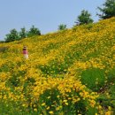 악양생태공원 이미지