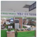 위델스프로폴리스