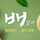 배*열 이미지