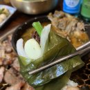 돼지천하 이미지