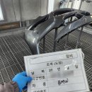 포곡점 현대자동차 | BMW 328i 전후 범퍼 판금 도장, 완벽 복원 사례 – 포곡, 둔전, 모현 지역 고객님께 추천!