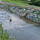 안성 월동천 이미지