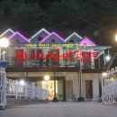 반디네허브 이미지