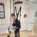 정토환경 이미지