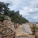 365울산누리팜 이미지