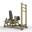 MUT GYM 이미지