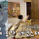 하룻고양이 | 국내 료칸 숙소 추천 네코스테이 풀 영상 후기 고양이와 하룻 밤, 고양이 동반 가능 강릉 펜션