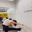 비타릴리스 이미지