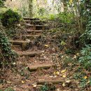 제주 모슬봉 일제군사시설 이미지