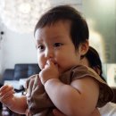 이시연한복 이미지