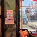진우야채