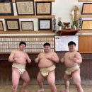 [일본 단기어학연수+5] 스모선수를 눈 앞에서..! 창코나베 🍲