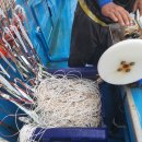 낚시어선 음주, 출항제한 이미지