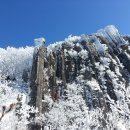 중앙의원앞 승강장 이미지
