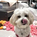 포우농장 이미지